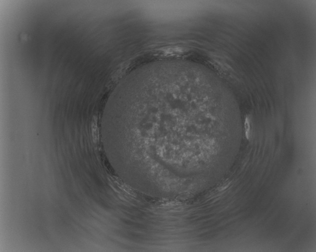 X0000067501395200604211713