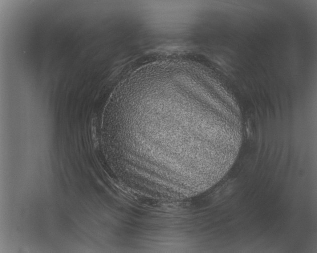 X0000067501396200604211713