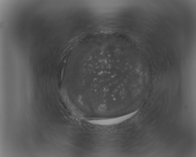 X0000067501397200604211713