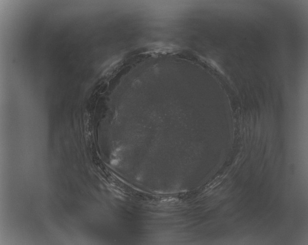 X0000067501399200604211713