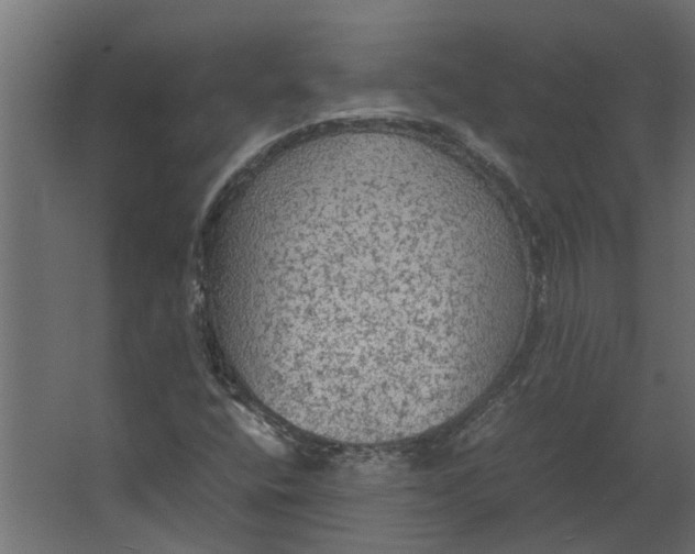 X0000067501400200604211713