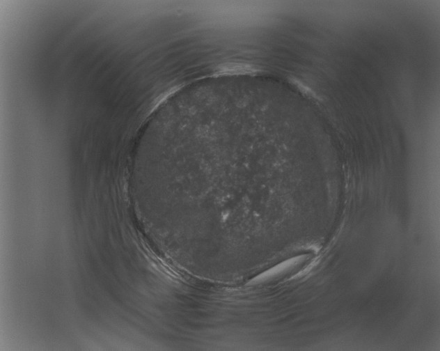 X0000067501401200604211713