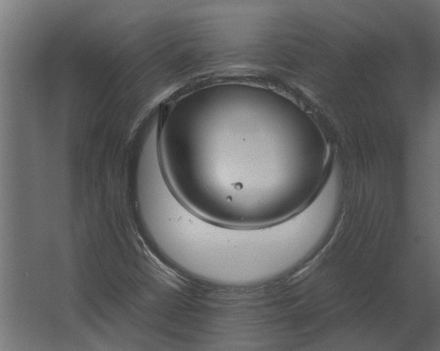 X0000067501402200604211713