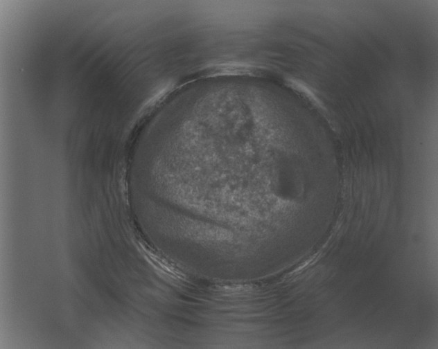 X0000067501403200604211713