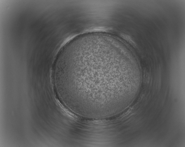 X0000067501404200604211713