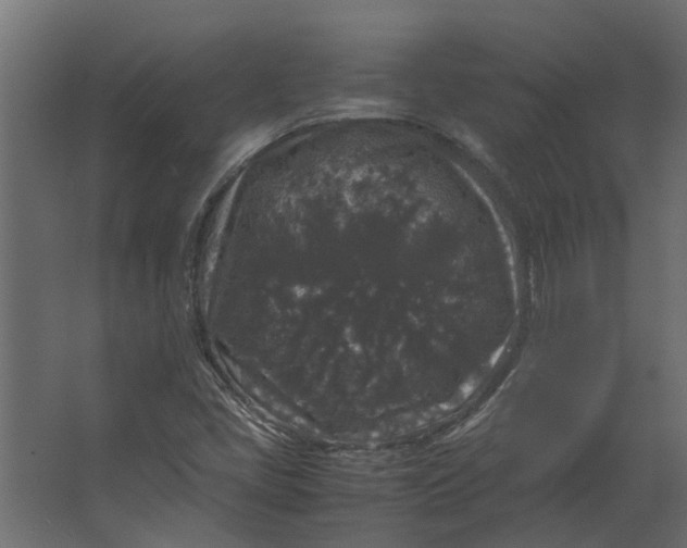 X0000067501405200604211713