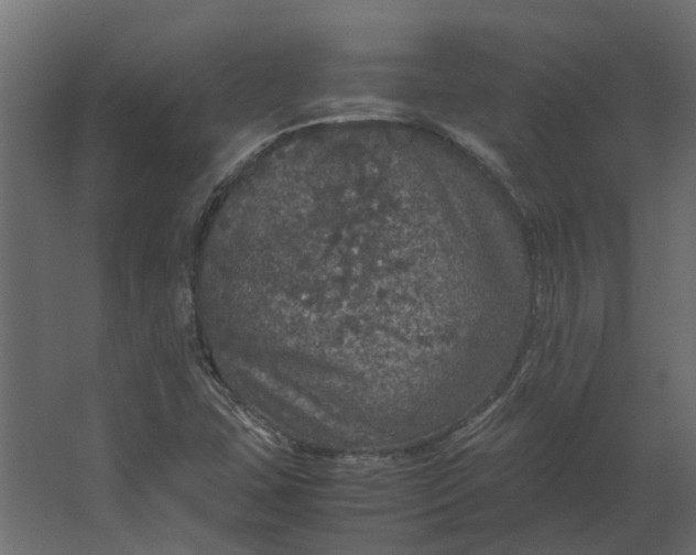 X0000067501407200604211713