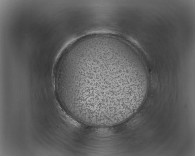 X0000067501408200604211713