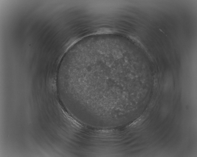 X0000067501409200604211713