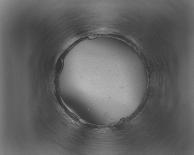 X0000067501410200604211713