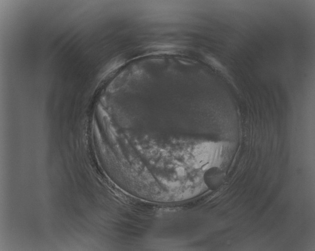 X0000067501411200604211713