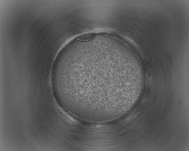 X0000067501412200604211713