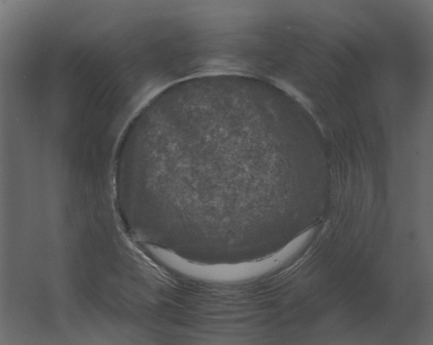 X0000067501415200604211713