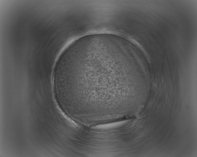 X0000067501416200604211713