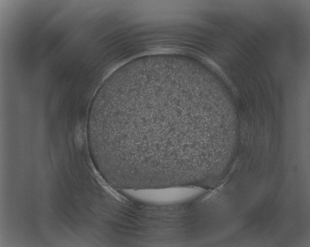 X0000067501417200604211713