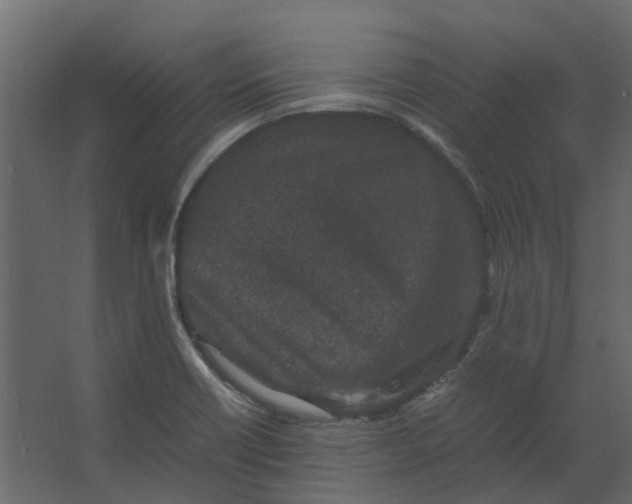 X0000067501418200604211713