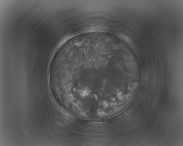 X0000067501419200604211713