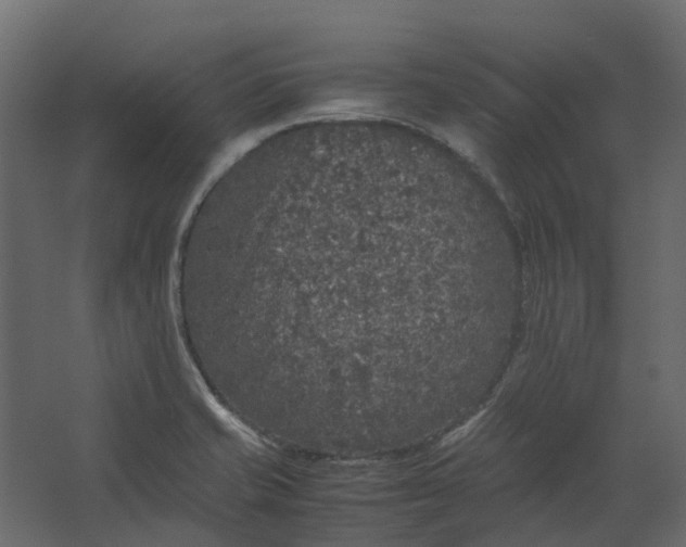 X0000067501421200604211713