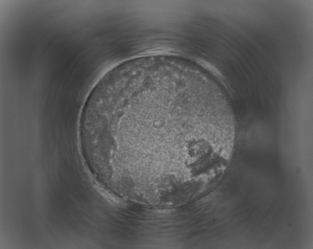 X0000067501423200604211713