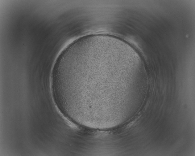 X0000067501424200604211713