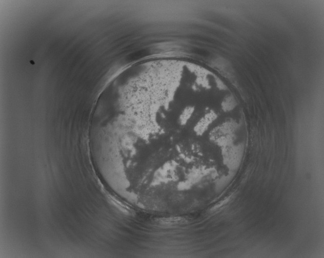 X0000067501425200604211713