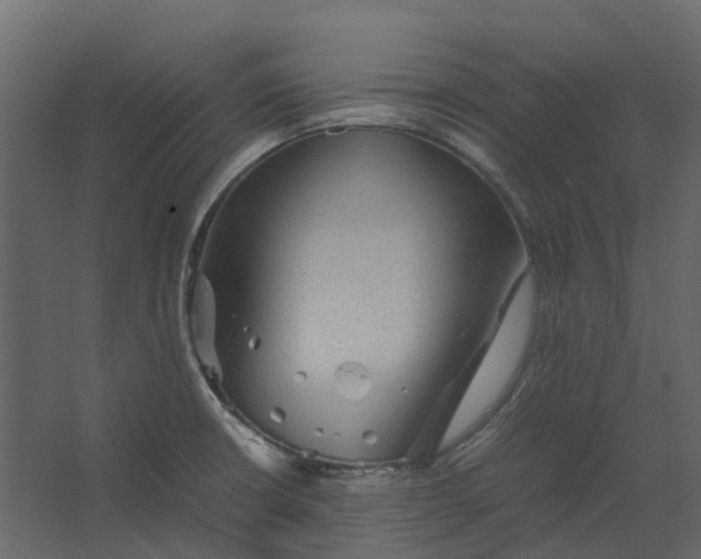 X0000067501426200604211713