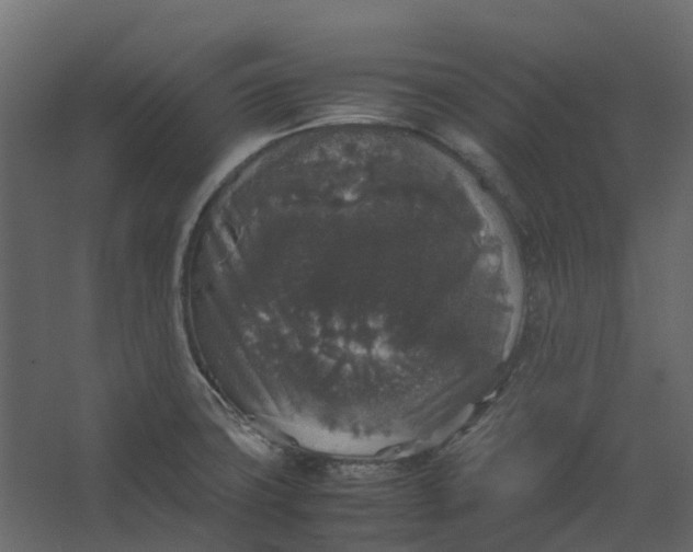 X0000067501427200604211713