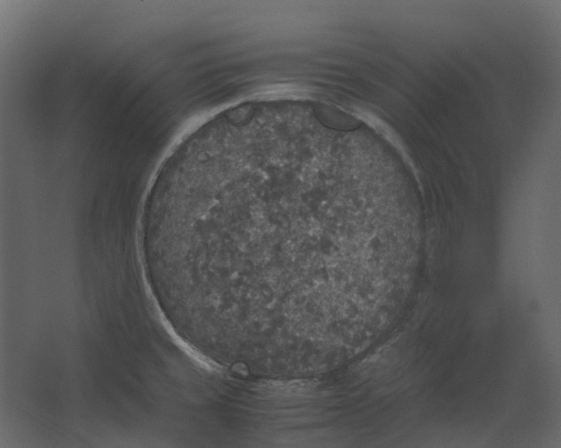 X0000067501429200604211713