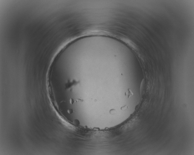 X0000067501430200604211713