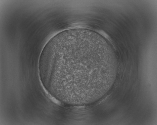 X0000067501431200604211713