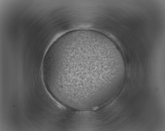 X0000067501432200604211713