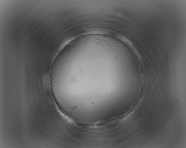 X0000067501433200604211713