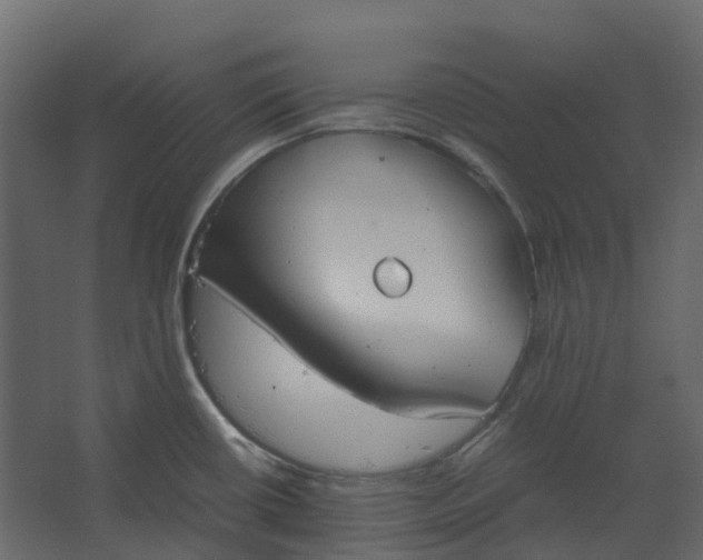 X0000067501434200604211713