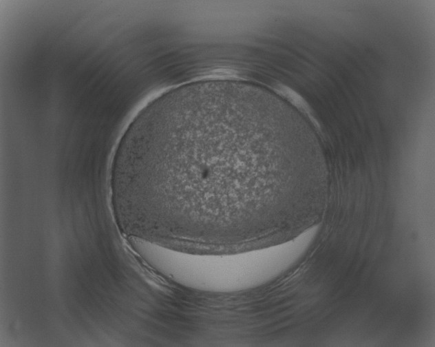 X0000067501435200604211713