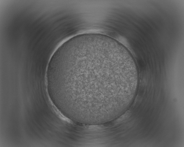 X0000067501436200604211713