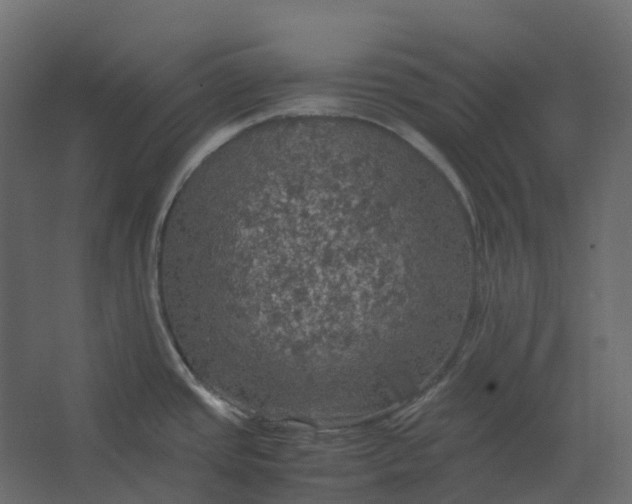 X0000067501437200604211713