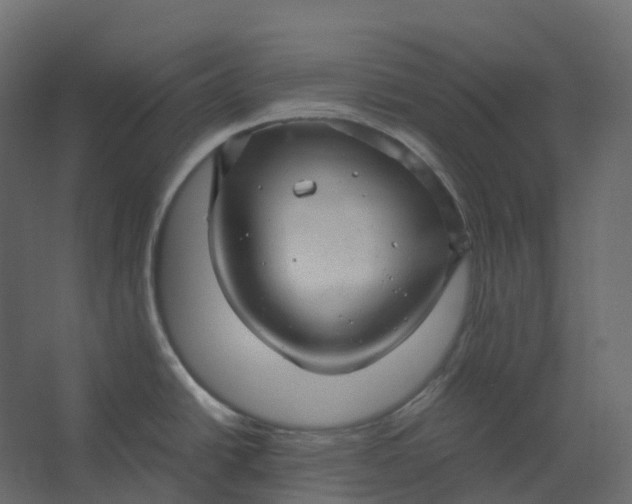 X0000067501438200604211713