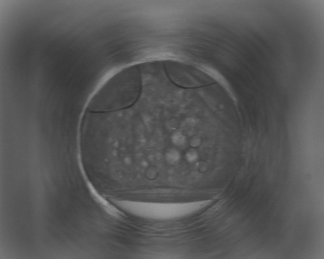 X0000067501439200604211713