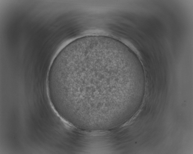 X0000067501440200604211713