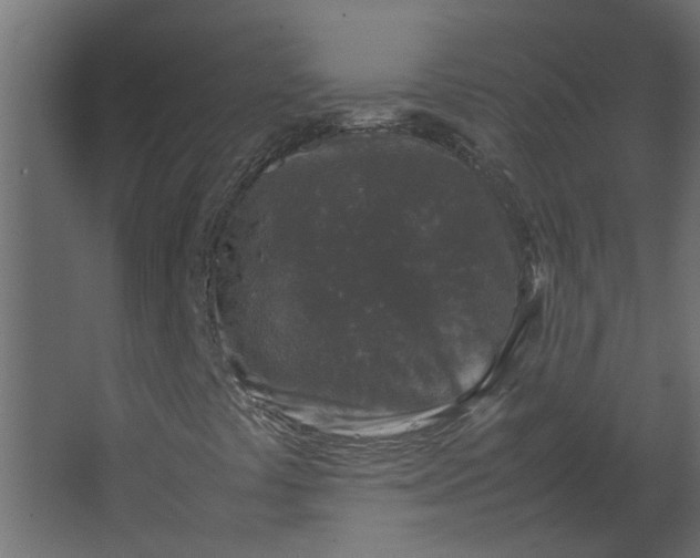 X0000067501441200604211713