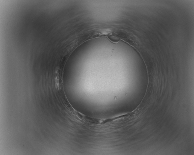 X0000067501442200604211713