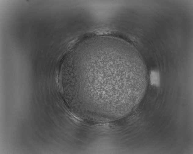 X0000067501444200604211713