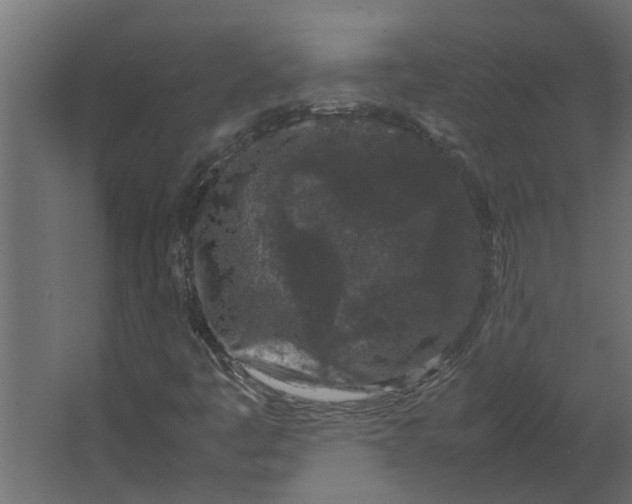 X0000067501445200604211712