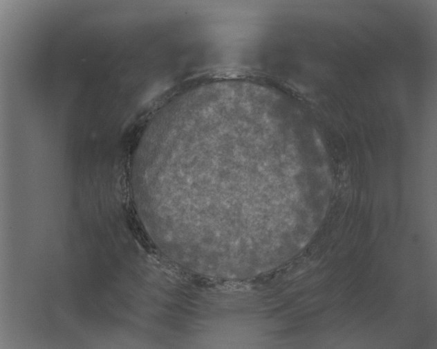 X0000067501446200604211712