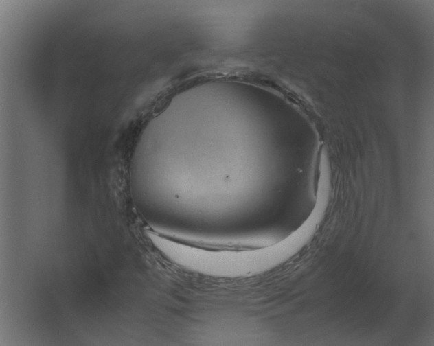 X0000067501447200604211712