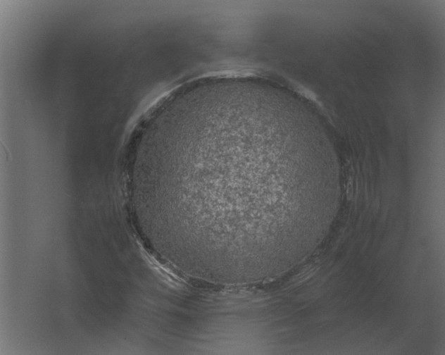 X0000067501448200604211712