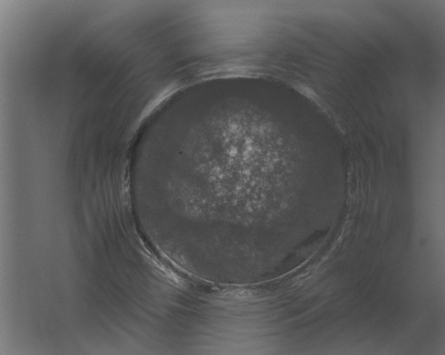 X0000067501450200604211712