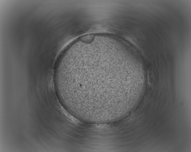 X0000067501452200604211712