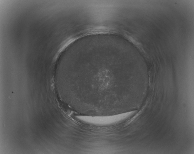 X0000067501453200604211712