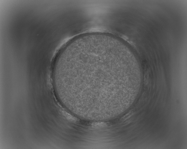 X0000067501454200604211712